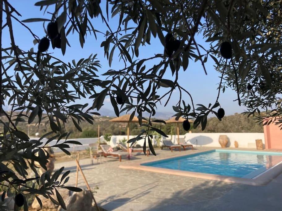 Villa Louloudia Stylish Luxury Villa With Private Pool Pitsidia Exteriör bild