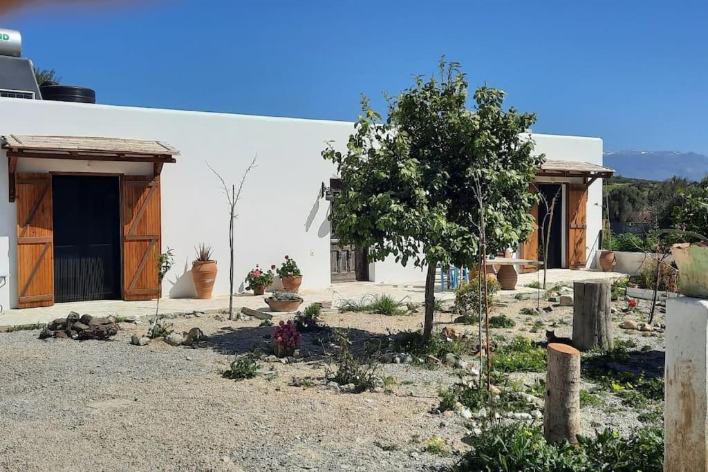Villa Louloudia Stylish Luxury Villa With Private Pool Pitsidia Exteriör bild