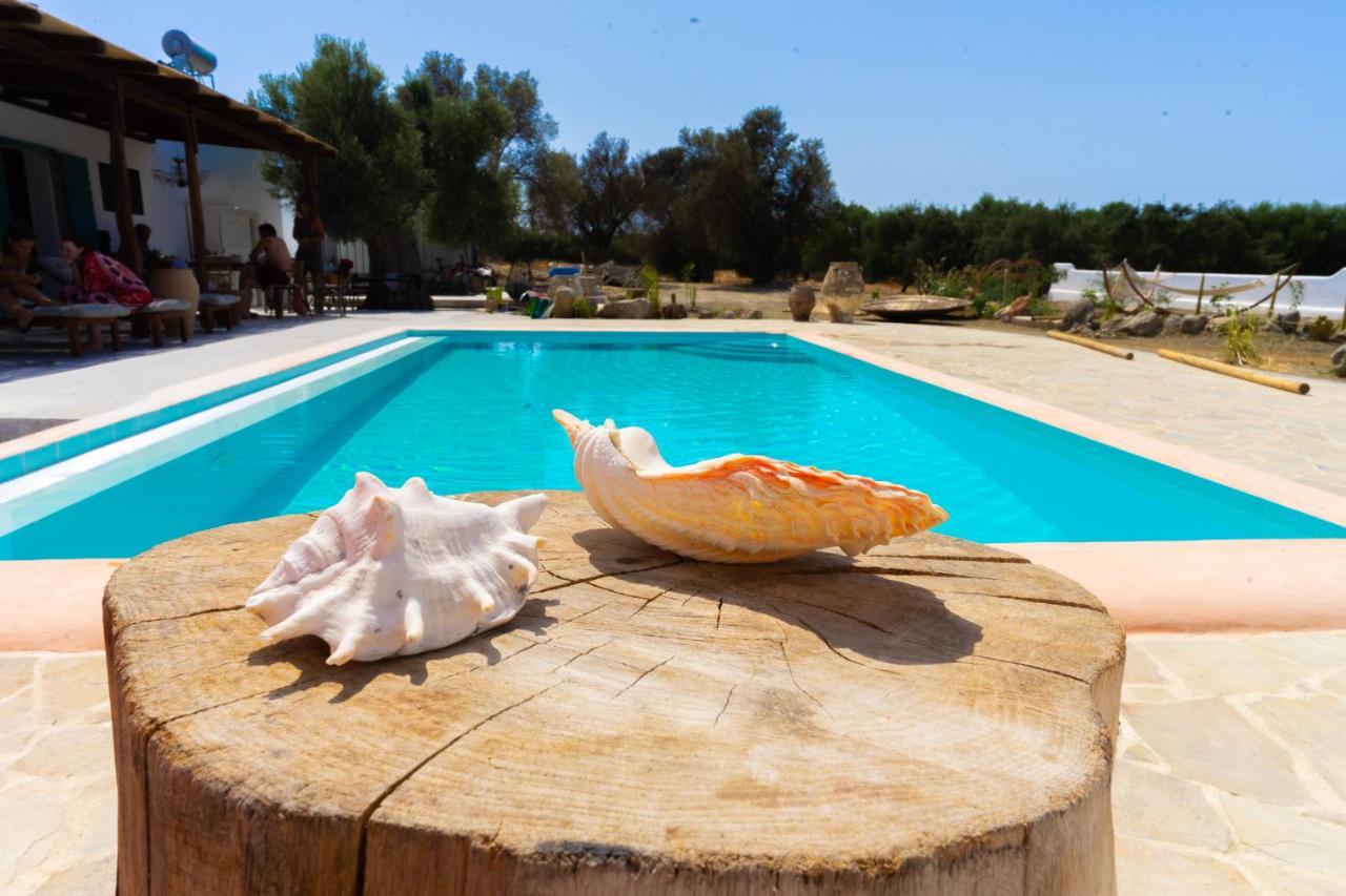 Villa Louloudia Stylish Luxury Villa With Private Pool Pitsidia Exteriör bild